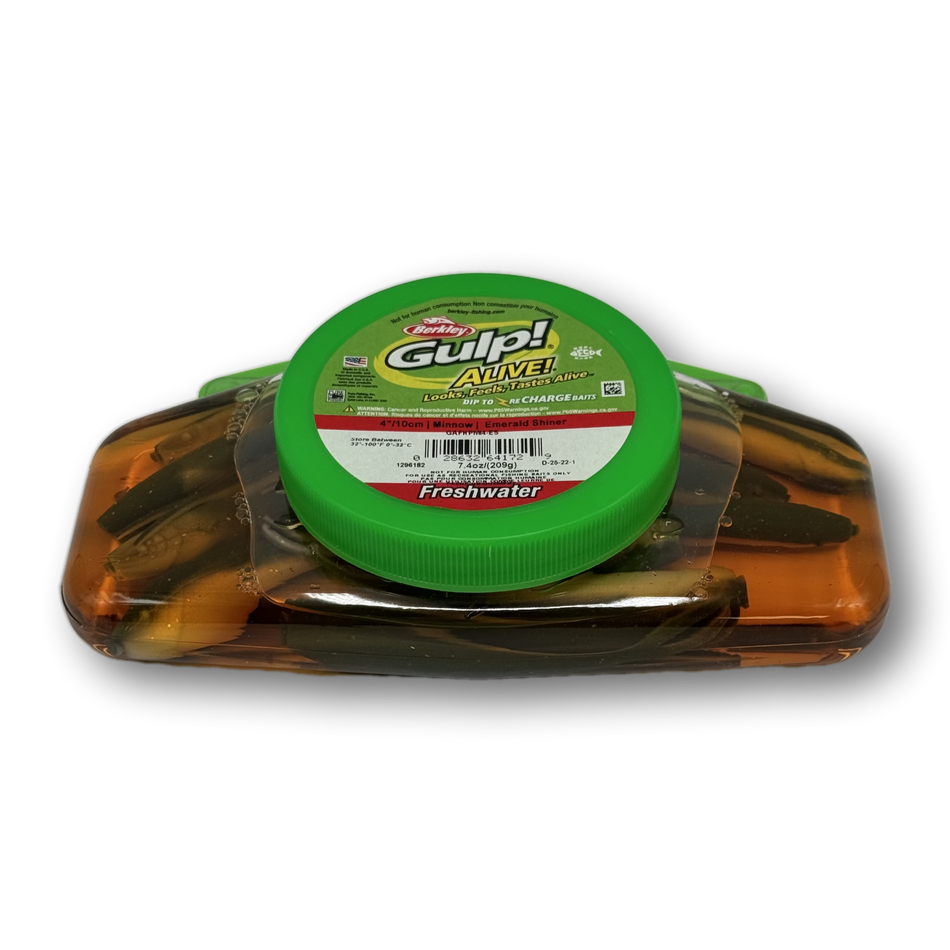 Gulp! Alive Minnow (Jug)