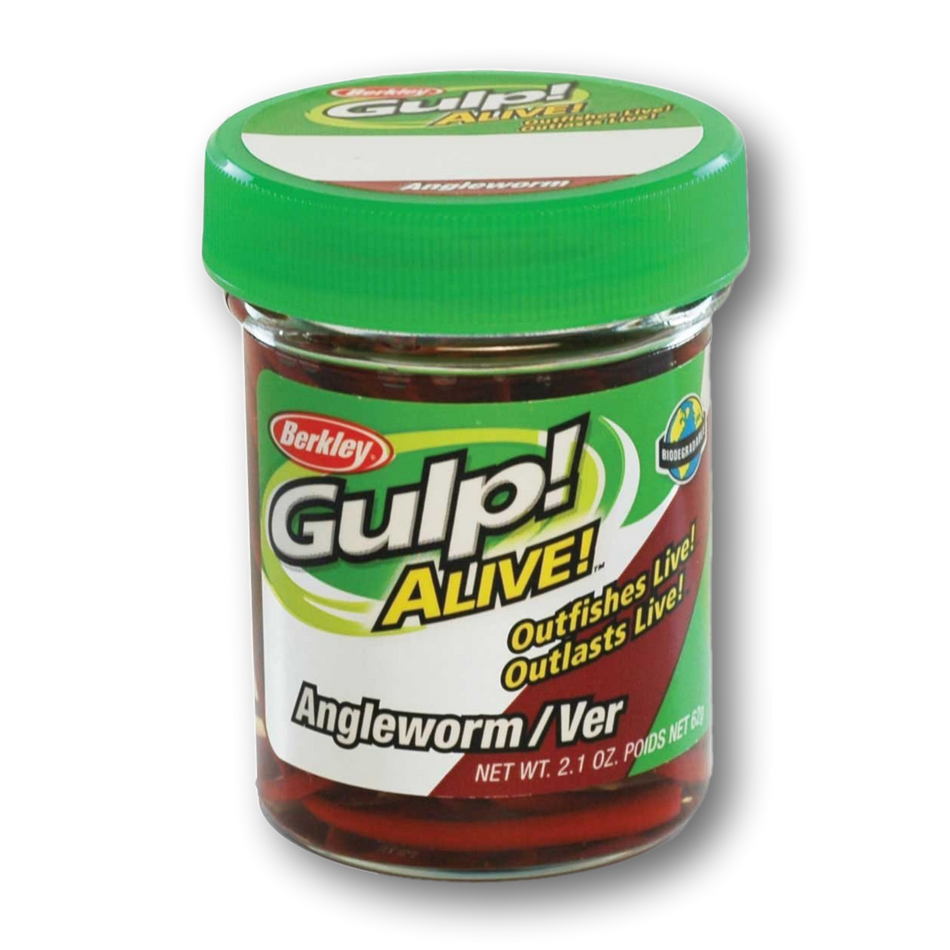 Gulp! Alive Angleworm (2.1 oz jar)