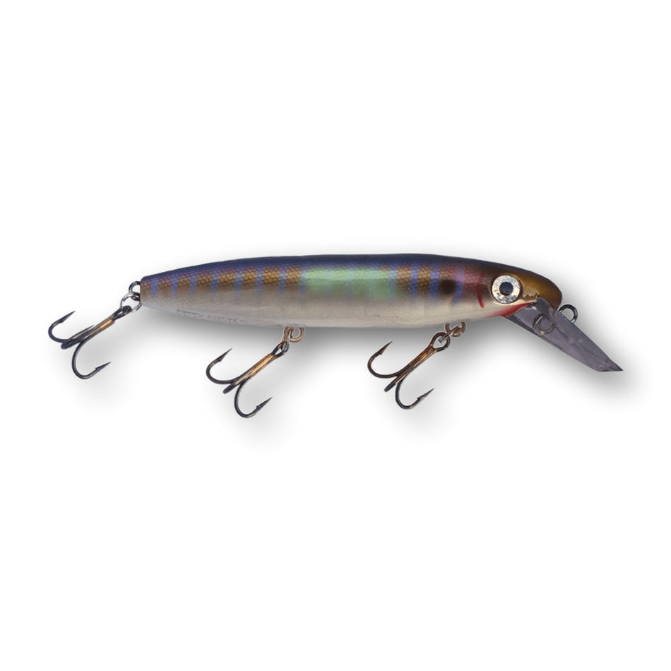 Bucher Depth Raider 8"