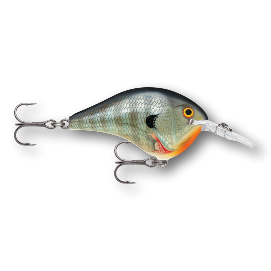 Rapala DT® (Dives-To) Series