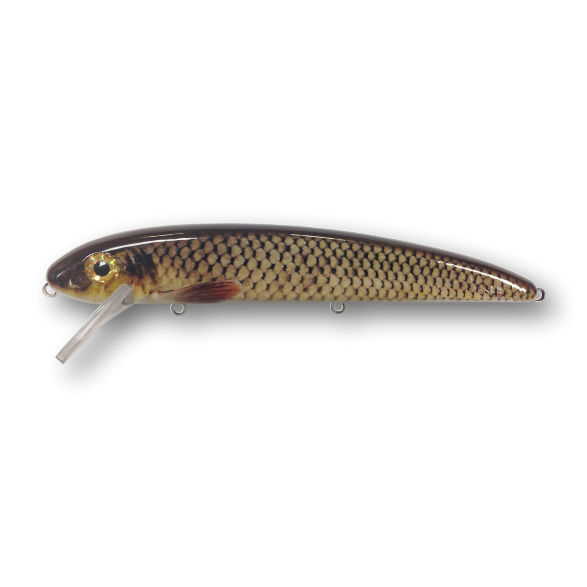 Musky Mania Jake 8