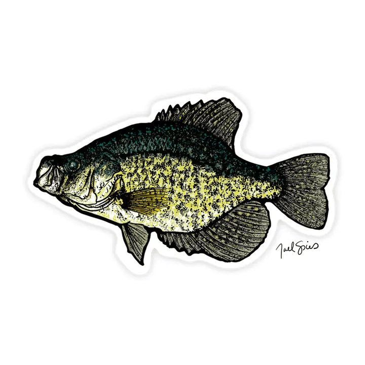 Fish Decals (Brule Bay)