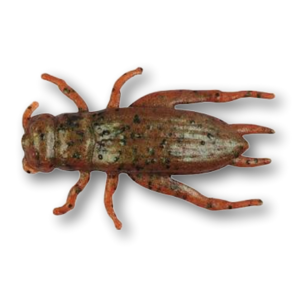 Gulp! Alive Crickets Brown (2.1 oz jar)