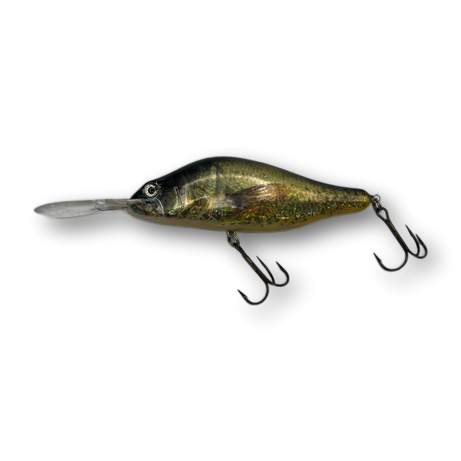 Hester Humpback Divers