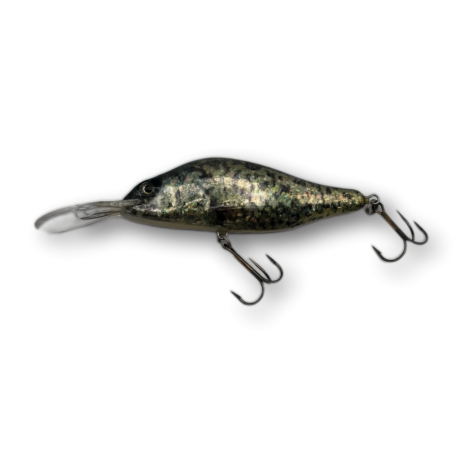 Hester Humpback Divers