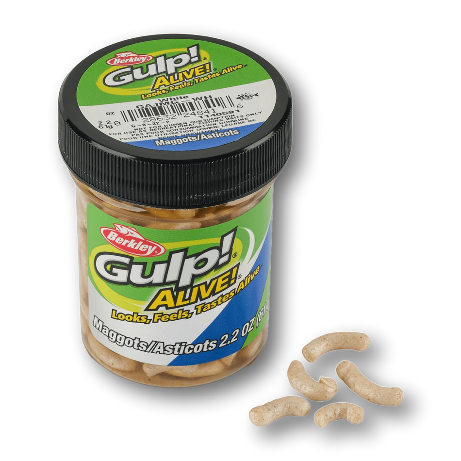 Gulp! Alive Maggots - White (2.1 oz jar)