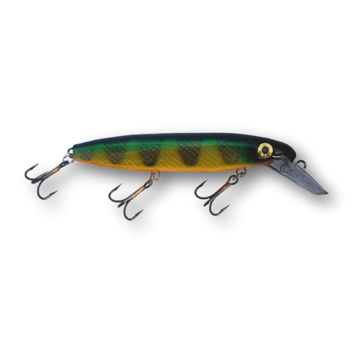 Bucher Depth Raider 8