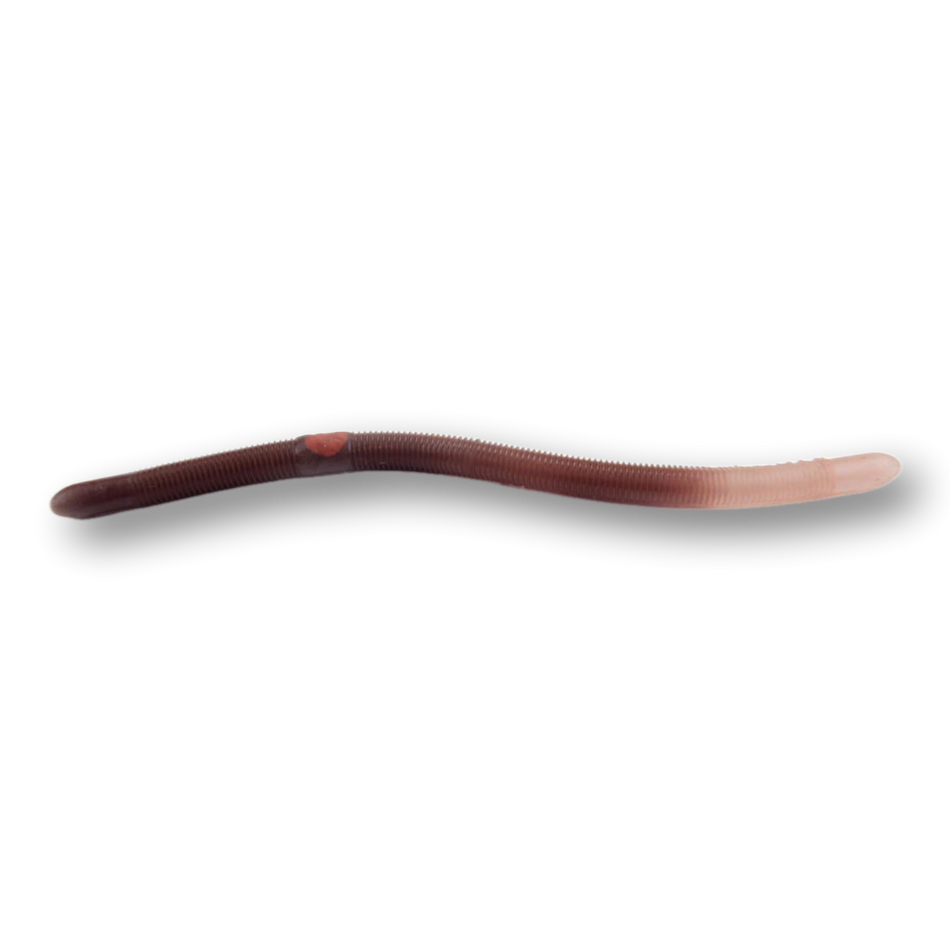 Kelly's Bass Worms Pier Boy | Pre-Rigged Bass Worms