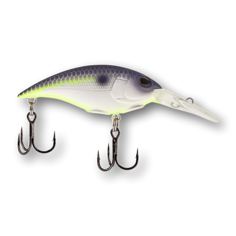 Berkley Money Badger 5