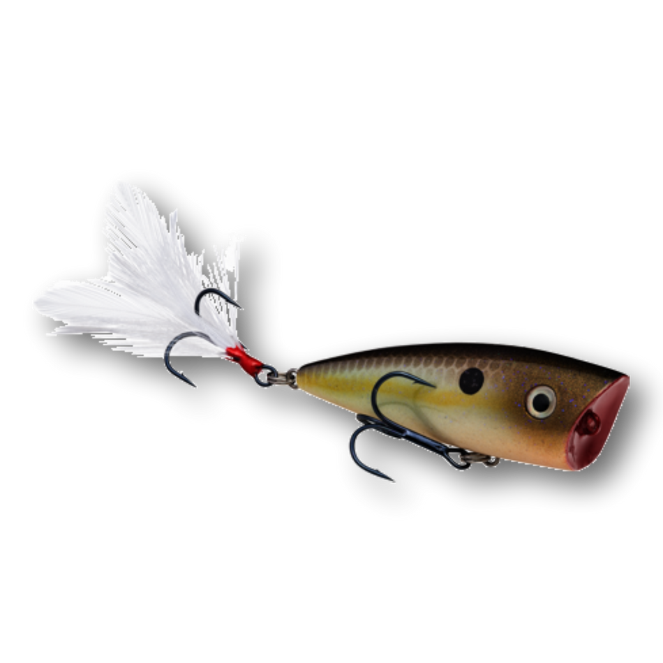 Strike King HC KVD Splash Jr. Topwater Lure